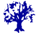 Irish Assocation Logo